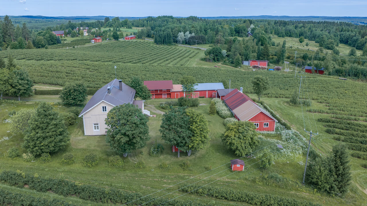 Property at Tenkkelintie 343