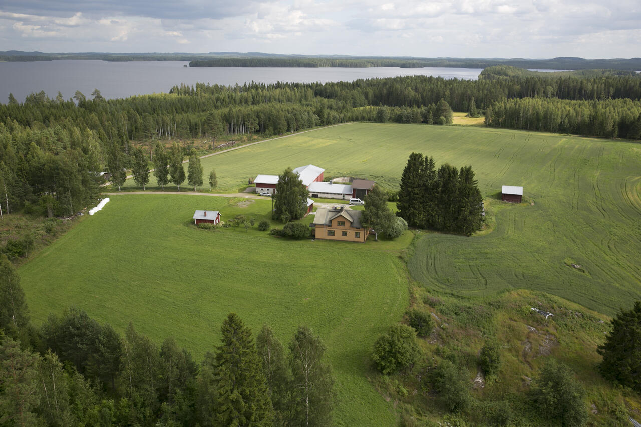 Myydaan Maatila Kuopio Riistavesi Rotikontie 978 Etuovi Com 9694005 Katso Kohteen Kuvat