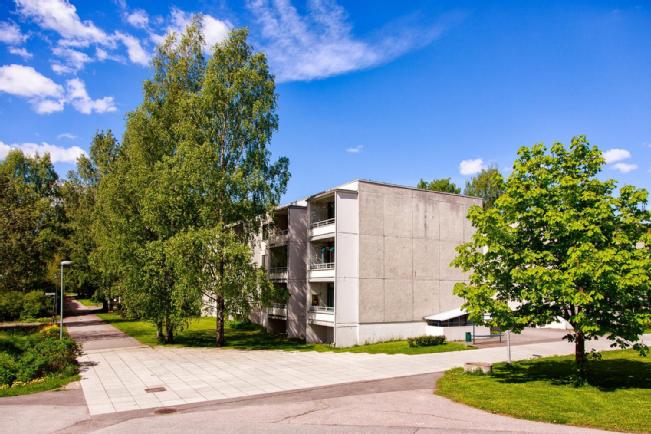 Oikotie metsätilat etuovi ikaalinen