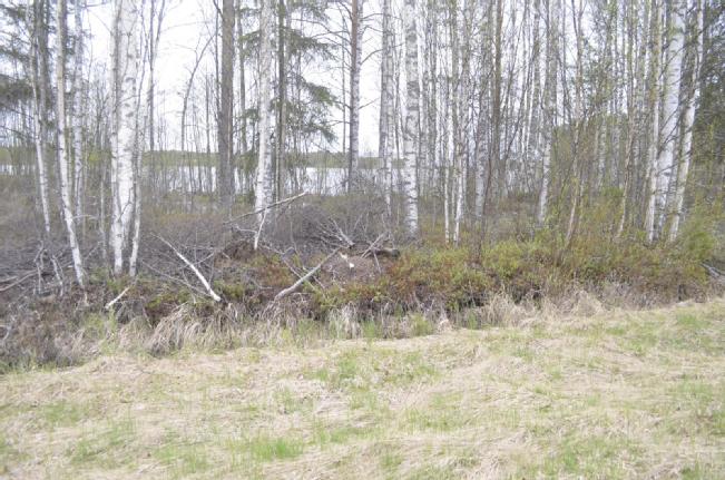 kossinkatu 3 etuovi oikotie fi myytävät asunnot vantaa