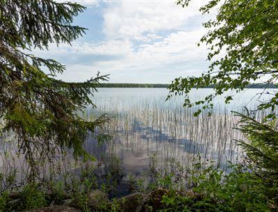 Etuovi lohja lapintie 6 etuovi