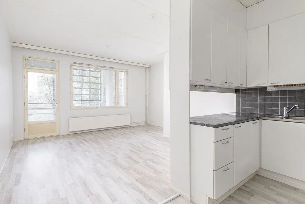 1h + kk, Sörnäinen Helsinki (1/20)