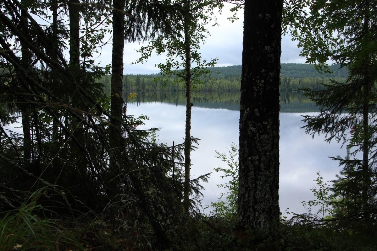 Myydään Omakotitontti Paltamo, Uura, Leppikoskentie g33774