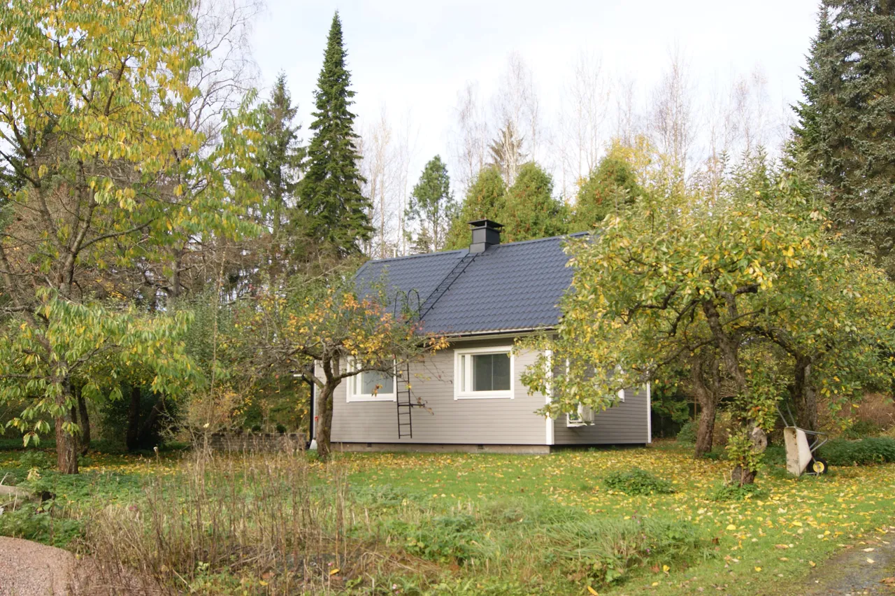 Sukulantie 247 1
