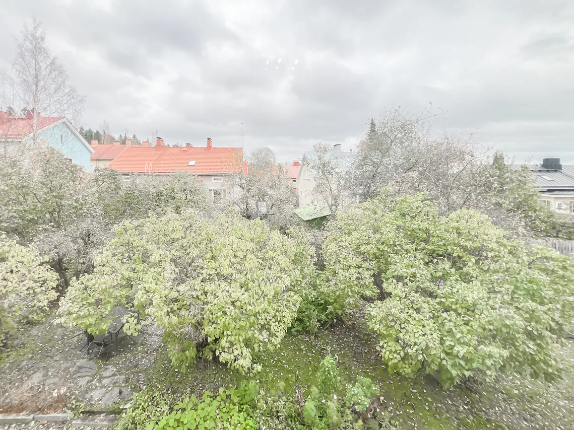 Tuomaankatu 3 A 4