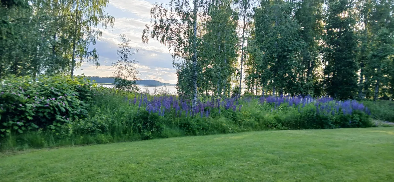 Haukisaarentie 2