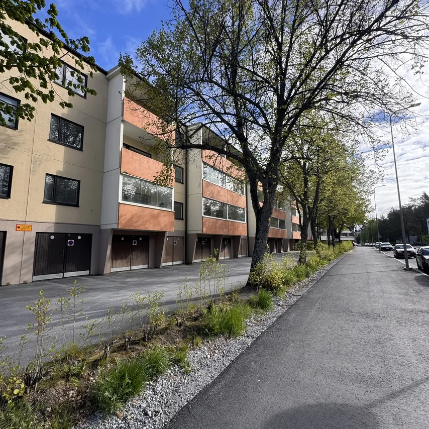 Raatihuoneenkatu 49 1