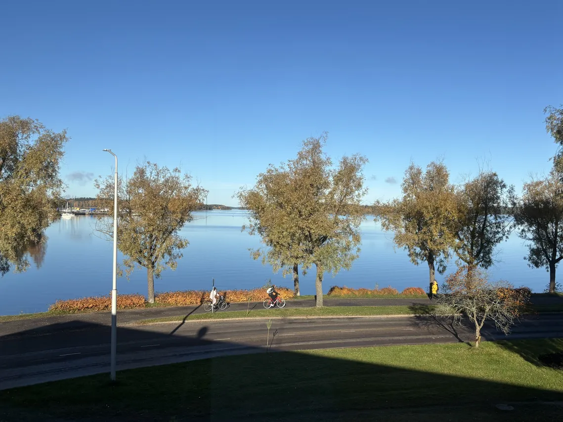 Ainonkatu 37 1