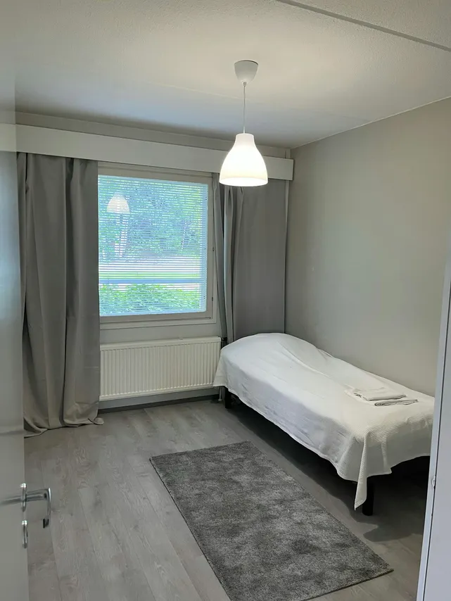 Ääneniementie 18 1