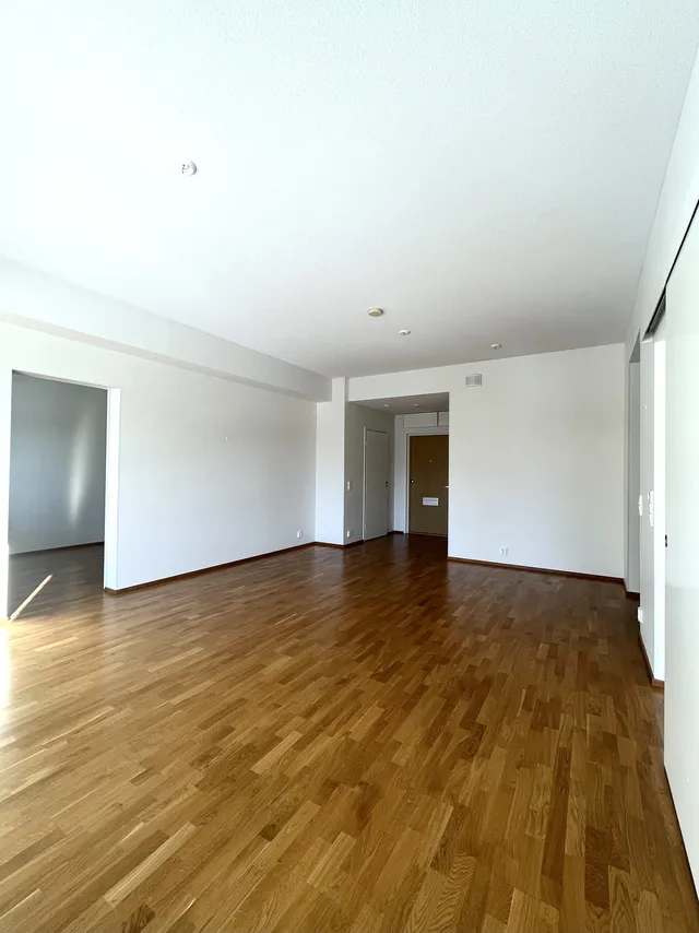 Torikatu 33 D 5