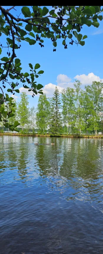 Ratakistonkatu  27 2
