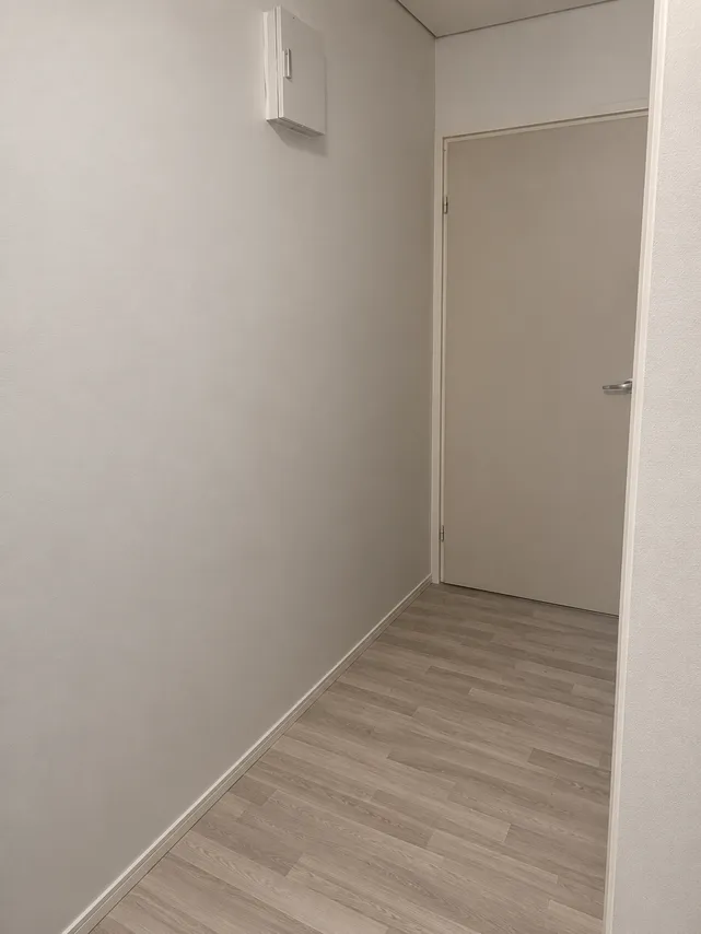 Kangasalantie 1069 3