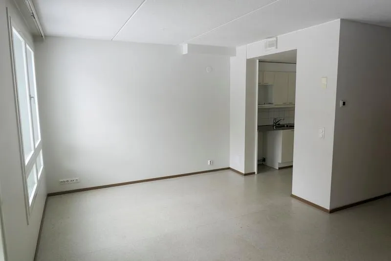 Kantosienenkatu 2 4