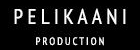 Pelikaani Production Oy, Pelikaani Kiinteistönvälitys LKV